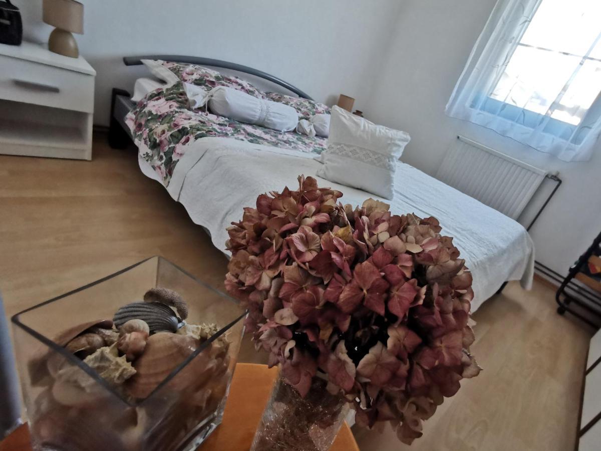 Apartmani Antonela&Andrej Привлака Екстер'єр фото